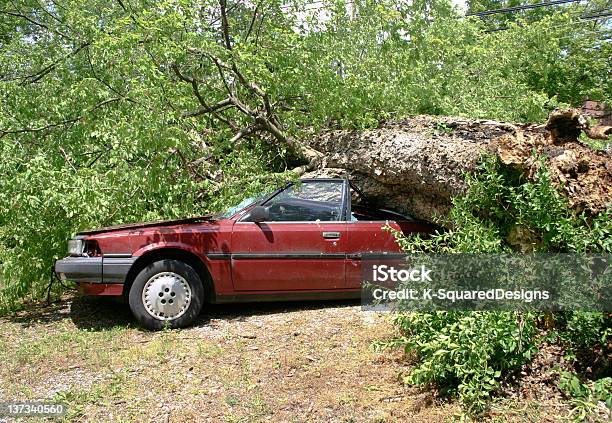 レックドカー - 樹木のストックフォトや画像を多数ご用意 - 樹木, 自動車, 落ちる