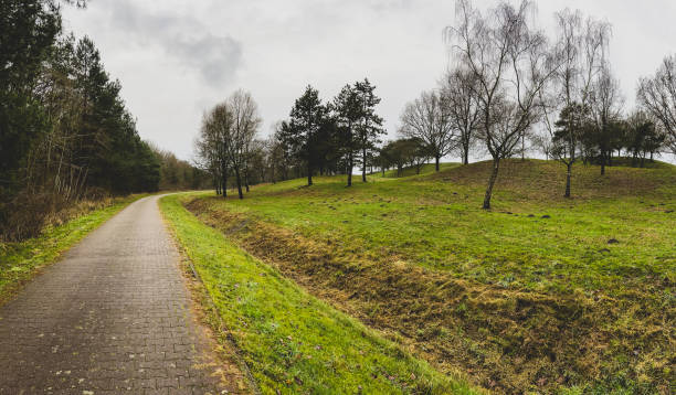 A path next to a forest and a meadow in winter in rainy weather.