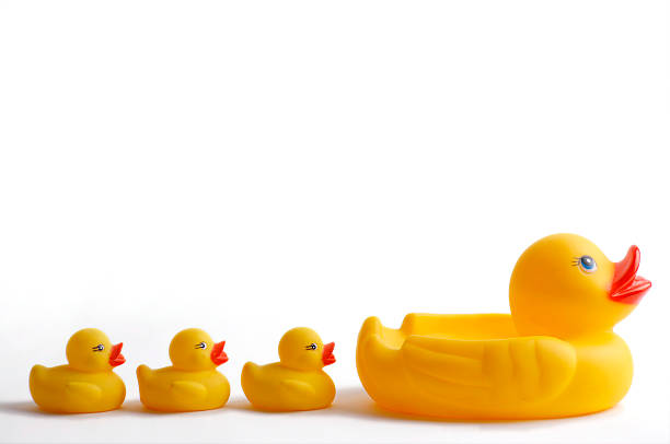 istock Mother and ducklings 137342460