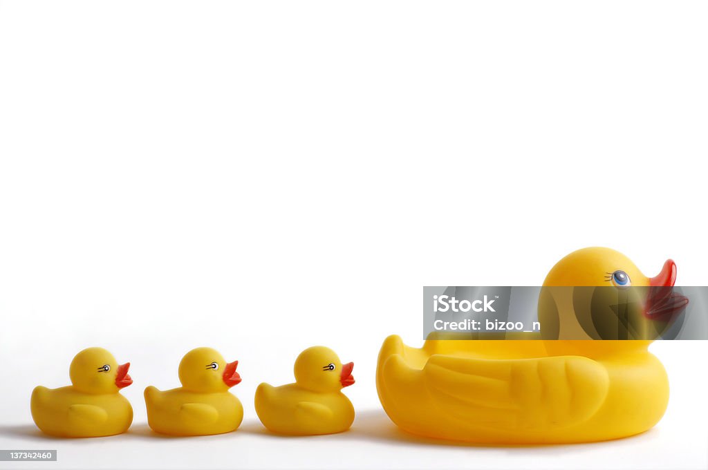 Mother and ducklings Plastic yellow ducks in a line isolated on white Bathtub Stock Photo