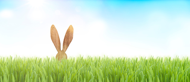 Decoración de Pascua en la hierba photo