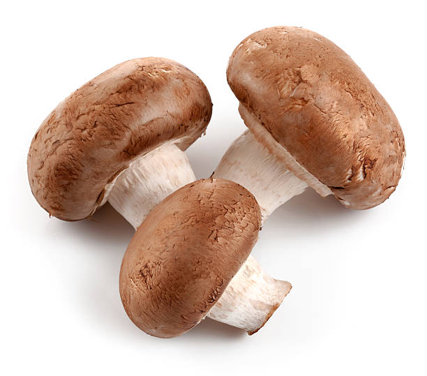 istock fresh mushroom champignon 137343251
