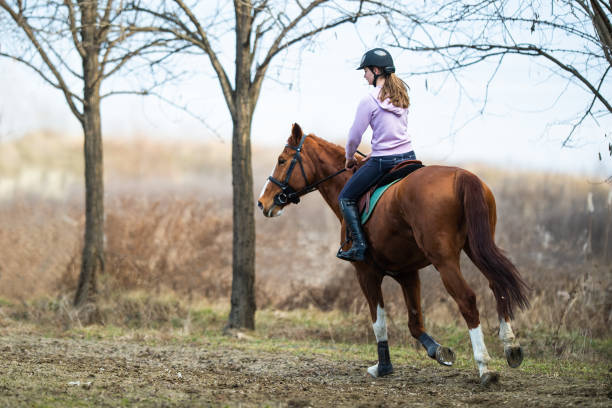 istock Young girl riding a horse 1373439863