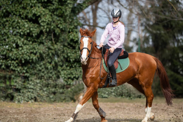 istock Young girl riding a horse 1373439865