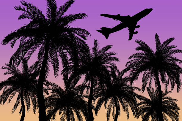 istock Exotic Palm Trees and Airplane Silhouettes. 3d Rendering 1373444946