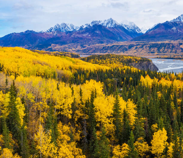 istock Matanuska, Alaska pictures 1373446110