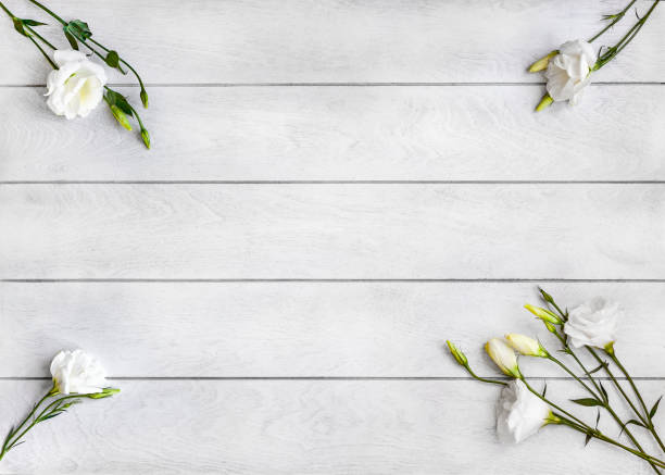 istock white flowers Eustoma or Lisianthu in the corners on light wooden background top view flat lay 1373458868