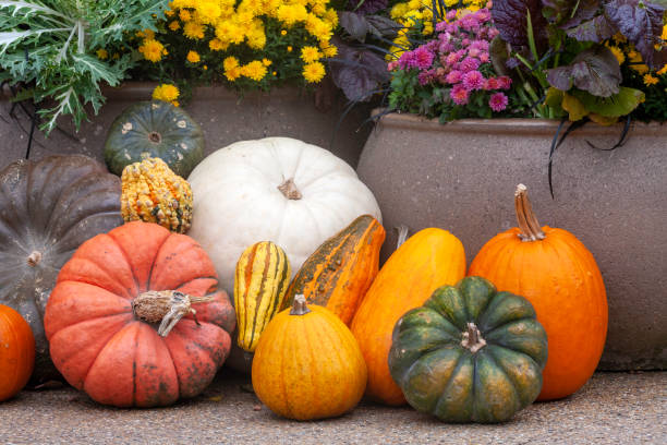 Autumn Harvest stock photo