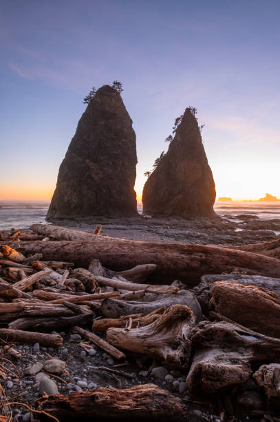 istock Sea Stacks at Sunset in Olympic National Park 1373463138