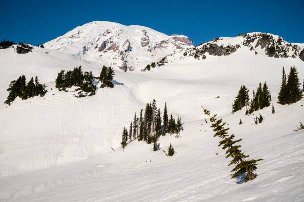 istock Mount Rainier National Park Covered in Snow During Winter 1373463171