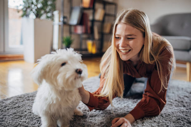 istock Woman playing with her dog 1373463183