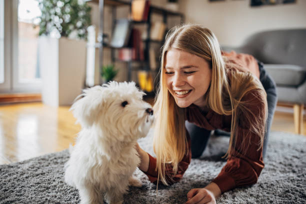 istock Woman playing with her dog 1373463199