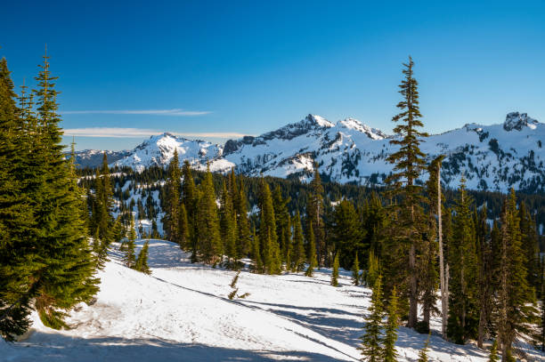 istock Mount Rainier National Park Covered in Snow During Winter 1373463215