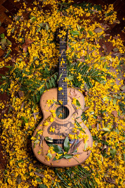 노란 꽃으로 둘러싸인 cenit에서 본 기타 장면 - musical instrument string flash 뉴스 사진 이미지