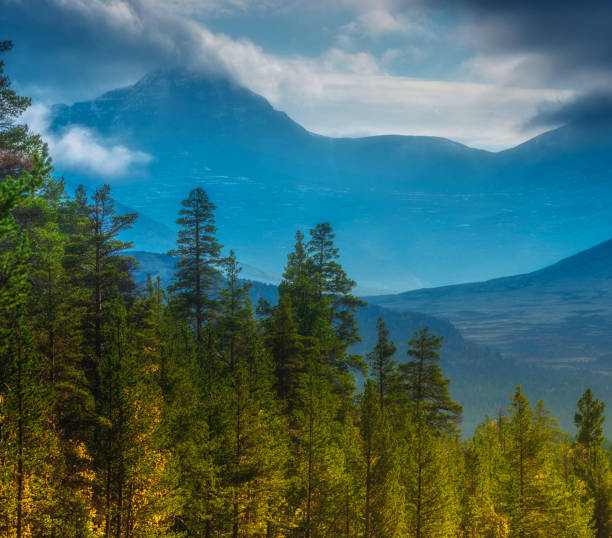 Snow capped peaks rise majestically over the serene landscape of Rondane National Park. Below, a beautiful mix of autumn foliage adds warm colors to the scene under a clear blue sky.