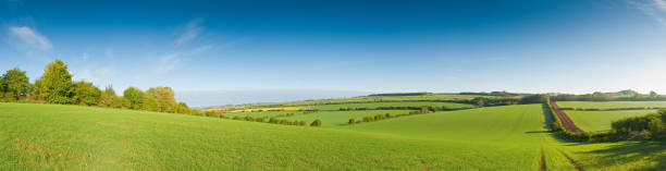 istock Lush green idyllic farmland 137348075