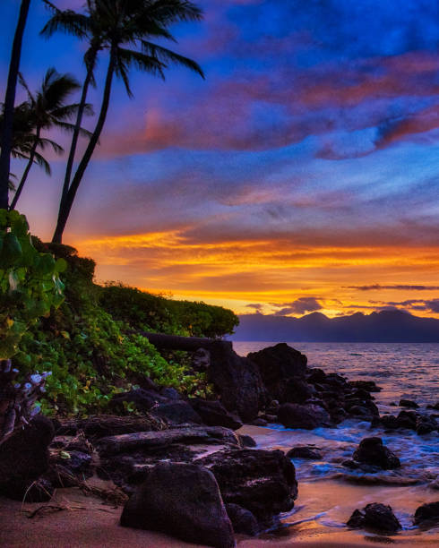 istock Molokai,Hawaii  pictures 1373481582