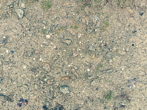 A sandy bottom with small stones as a texture or background.