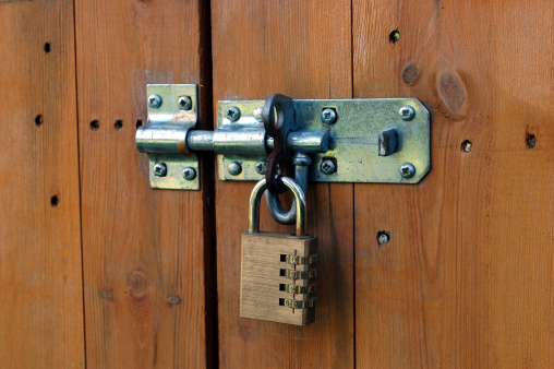 A bolt and padlock securing a garden shed.