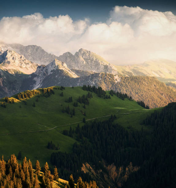 istock Gstaad,Switzerland pictures 1373516563
