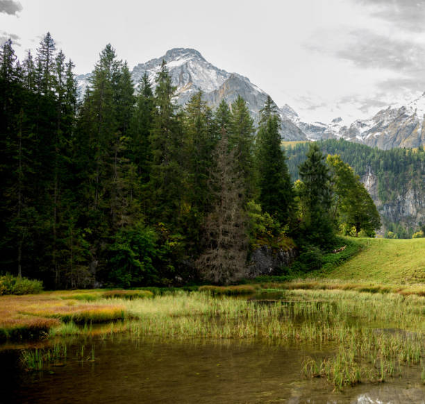 istock Gstaad,Switzerland pictures 1373521345