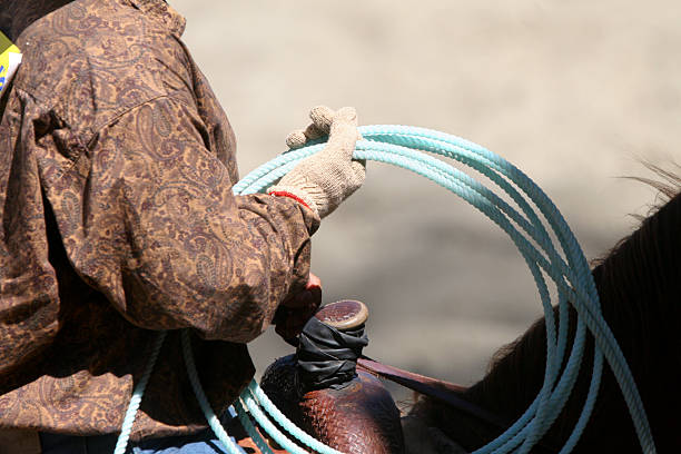 istock Lasso and Cowboy 137352362