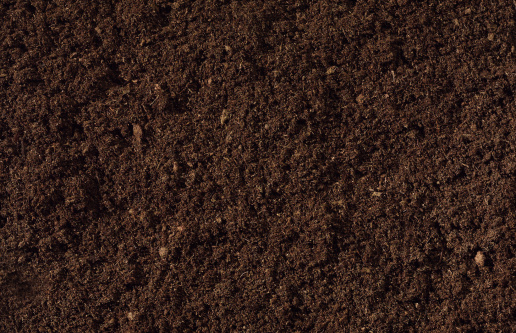 A close-up view of dark rich compost material.