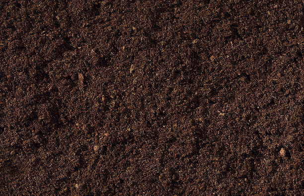 Compost Background A close-up view of dark rich compost material. soil stock pictures, royalty-free photos & images