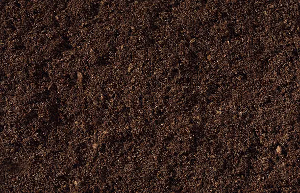 A close-up view of dark rich compost material.