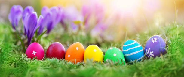 istock Easter eggs on the meadow with fresh green grass 1373539926