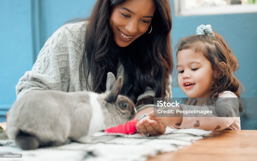 Shot of a mother and daughter feeding their pet rabbit at home Just in time for easter Pets Stock Photo