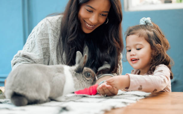 zdjęcie matki i córki karmiących swojego królika w domu - pets baby young animal child zdjęcia i obrazy z banku zdjęć