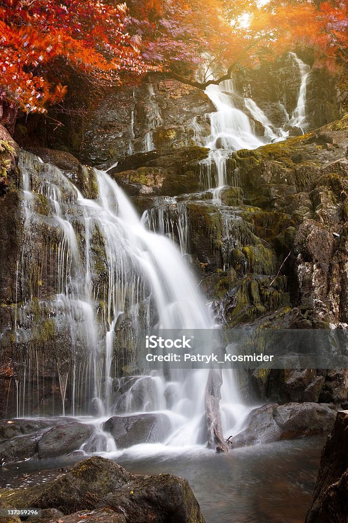 Jesień waterfall - Zbiór zdjęć royalty-free (Wodospad)