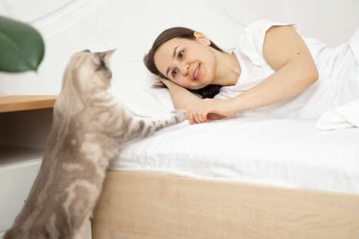 Young smiling brunette woman is lying in bed and playing with pet, cat.