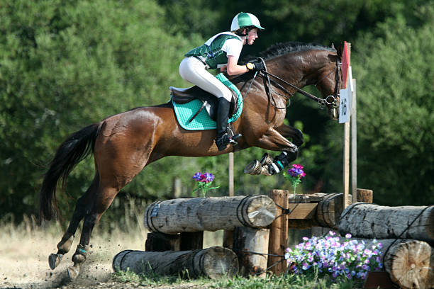 istock Cross country jump 137359955