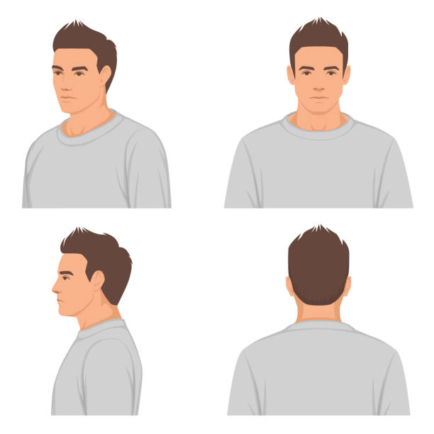 mężczyzna, portret twarzy mężczyzny, przód, profil, widok z boku i z tyłu, ilustracja wektorowa - hairstyle profile human face sign stock illustrations