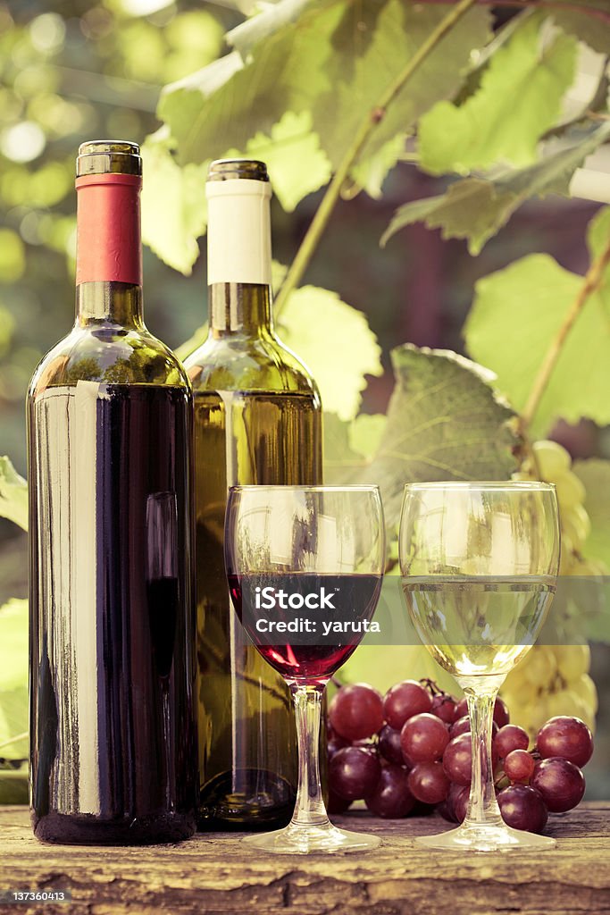 와인 두 병, 안경 및 번치 포도 - 로열티 프리 0명 스톡 사진