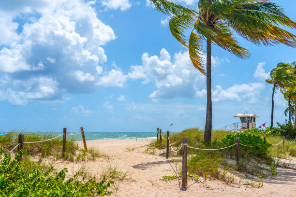 istock Palm trees on beautiful Miami sunny beach 1373611715