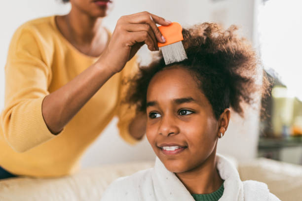 Mother doing head lice cleaning on her daughter hair Mother doing head lice cleaning on her daughter curly hair. human hair women brushing beauty stock pictures, royalty-free photos & images