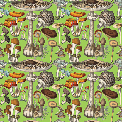 Victorian Botanical, Hand-Colored, Seamless pattern. Realistic Mushrooms Vintage fabric background. Beautiful Cottage Garden and wildflowers. Wallpaper baroque. Drawing engraving. Victorian Illustration. Very Rare, Beautifully Illustrated Antique Engraved and Hand Colored Victorian Botanical Illustration of Plants. Published in 1863. Source: Original edition from my own archives. Copyright has expired on this artwork. Digitally restored.