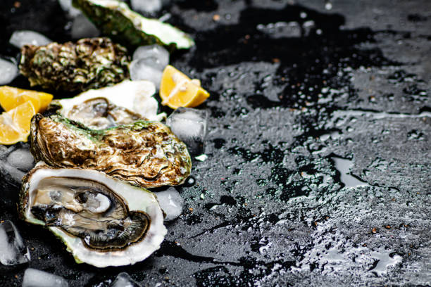 istock Oysters with lemon and ice cubes. 1373689038
