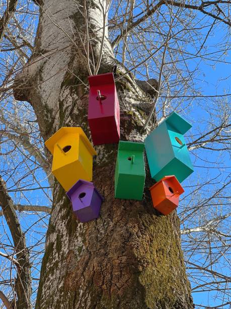 istock Bird house on tree. Colorful nesting box on tree trunk at spring. Colored birdhouses. 1373689060