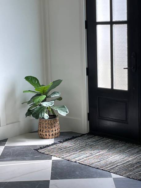 istock Plant in a beautiful entry 1373689428