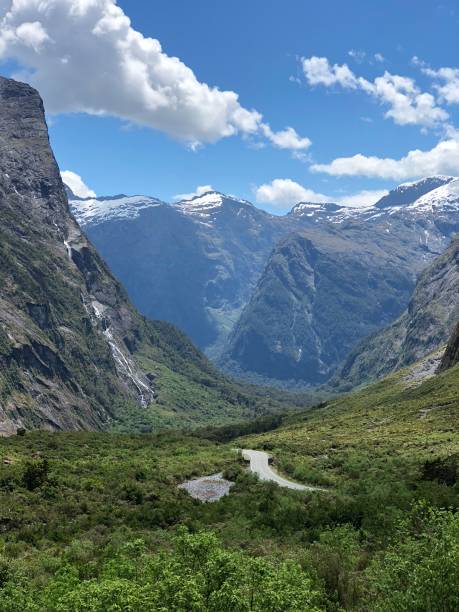 istock New Zealand 1373723255
