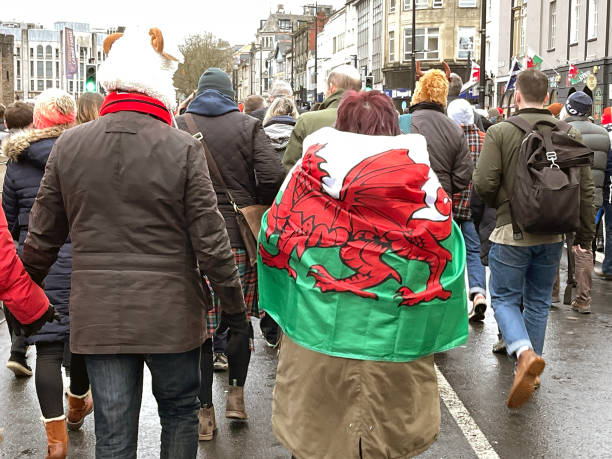 mujer en cardiff el día de un partido internacional de rugby con una bandera galesa - welsh flag flag welsh culture all european flags fotografías e imágenes de stock