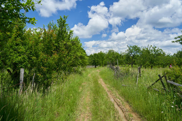 istock Muddy rural road in the countryside 1373731330