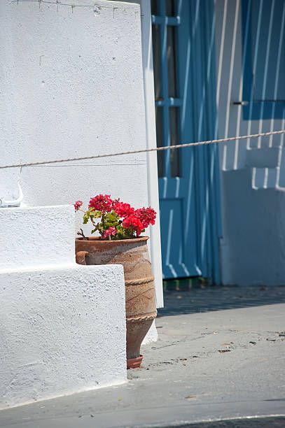 istock Flower pot on Santorini island 137373428