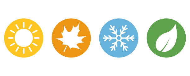 bildbanksillustrationer, clip art samt tecknat material och ikoner med a set seasons icons. summer, autumn, winter and spring. four seasons vector set icons. - fyra årstider