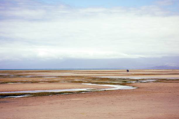 Looking out across the bay at low tide in springtime. Two distant unrecognisable people walk along the horizon. Taken in the Golden Bay region of the Tasman District in New Zealand's South Island.
