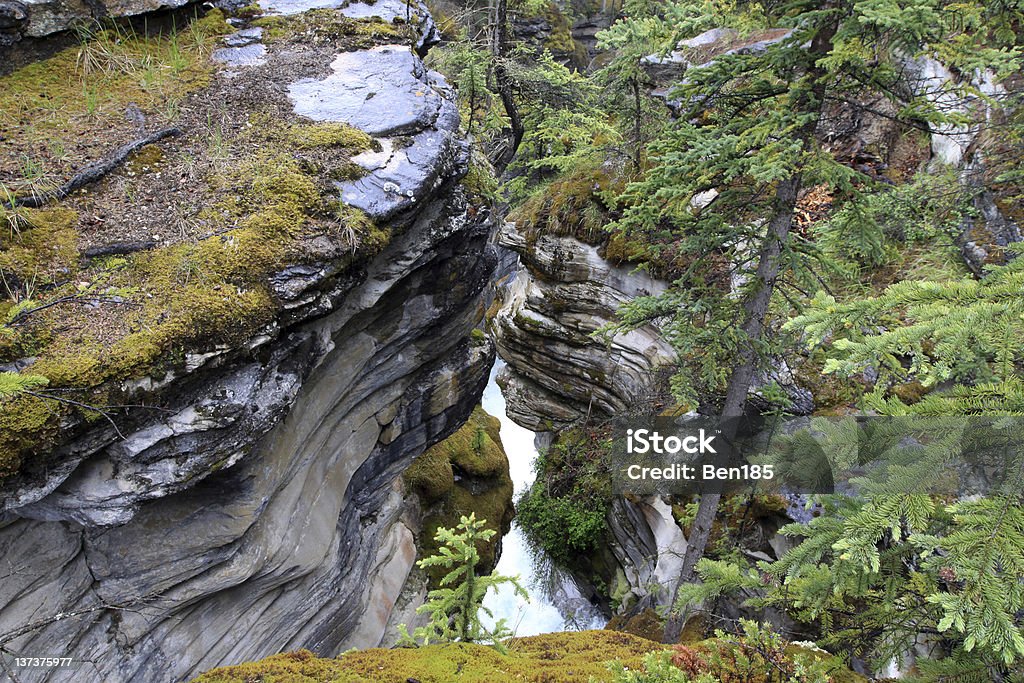 Maligne Canyon - Foto de stock de Canadá royalty-free